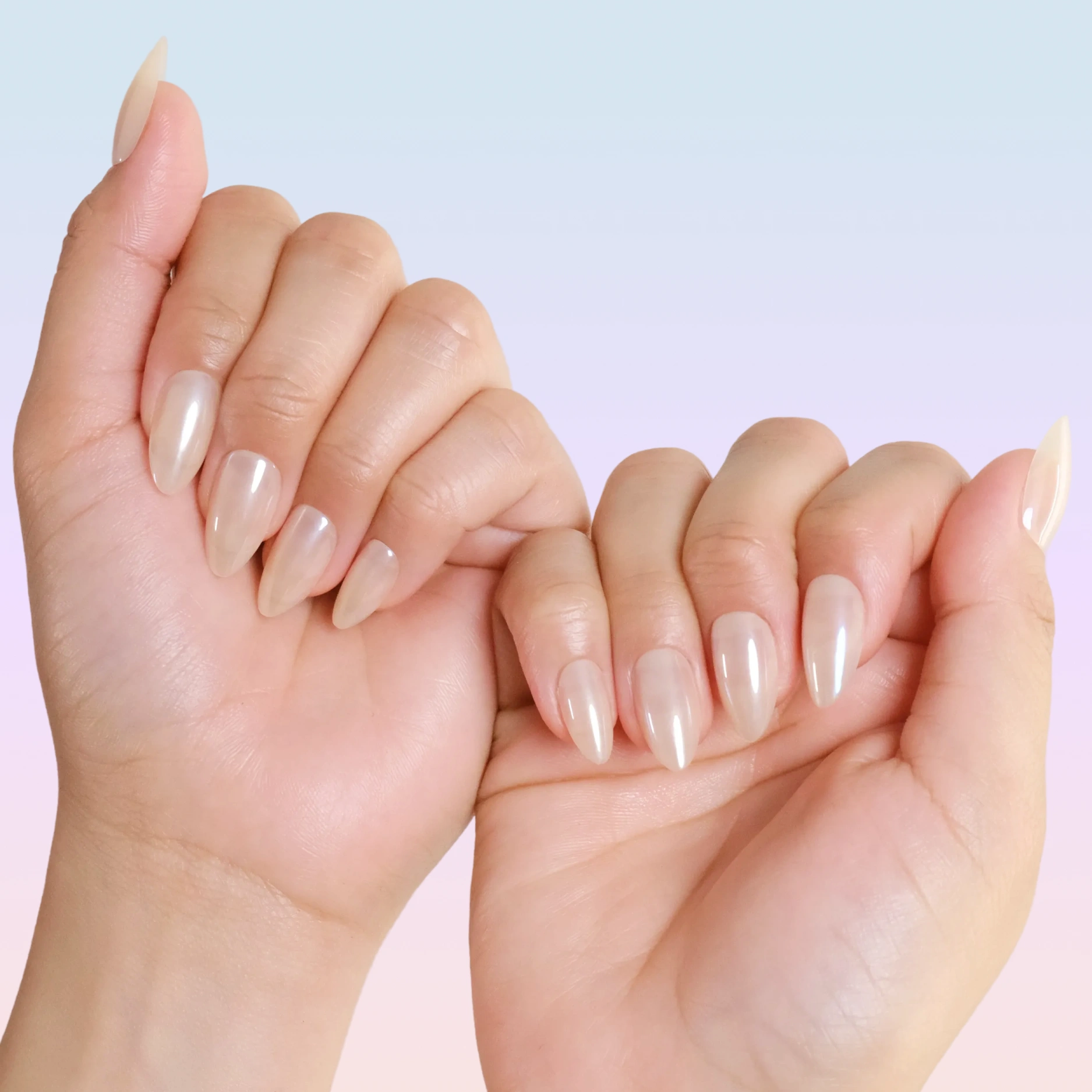 Brat Classic Collection